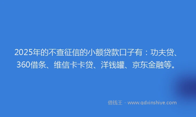 2025年的不查征信的小额贷款口子有：功夫贷、360借条、维信卡卡贷、洋钱罐、京东金融等。