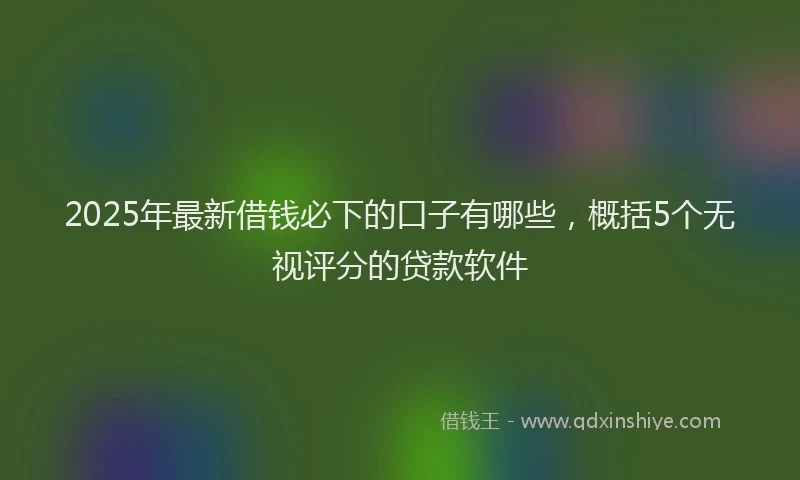 2025年最新借钱必下的口子有哪些，概括5个无视评分的贷款软件