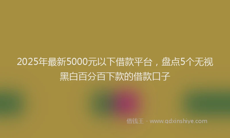 2025年最新5000元以下借款平台，盘点5个无视黑白百分百下款的借款口子