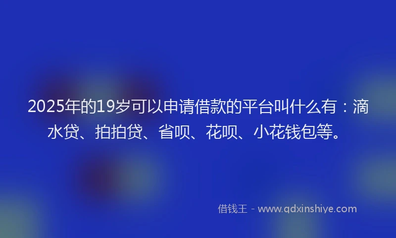 2025年的19岁可以申请借款的平台叫什么有：滴水贷、拍拍贷、省呗、花呗、小花钱包等。