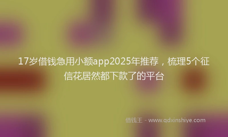17岁借钱急用小额app2025年推荐，梳理5个征信花居然都下款了的平台