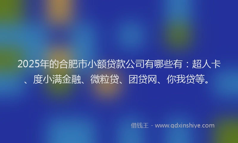 2025年的合肥市小额贷款公司有哪些有：超人卡、度小满金融、微粒贷、团贷网、你我贷等。