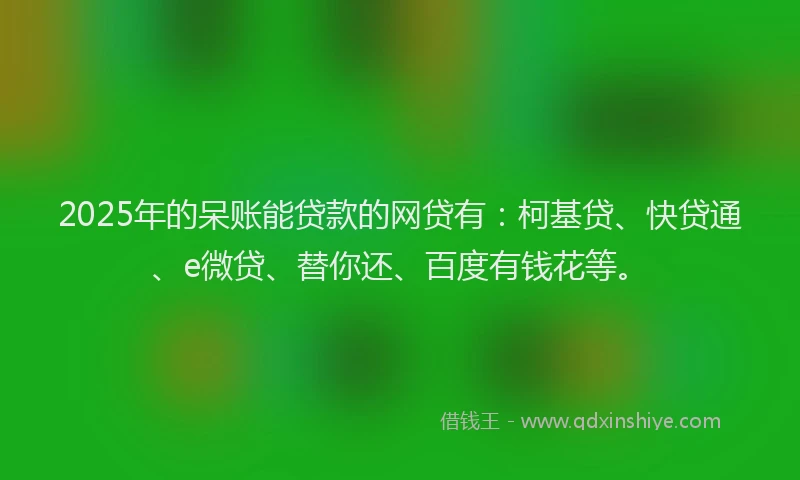 2025年的呆账能贷款的网贷有：柯基贷、快贷通、e微贷、替你还、百度有钱花等。