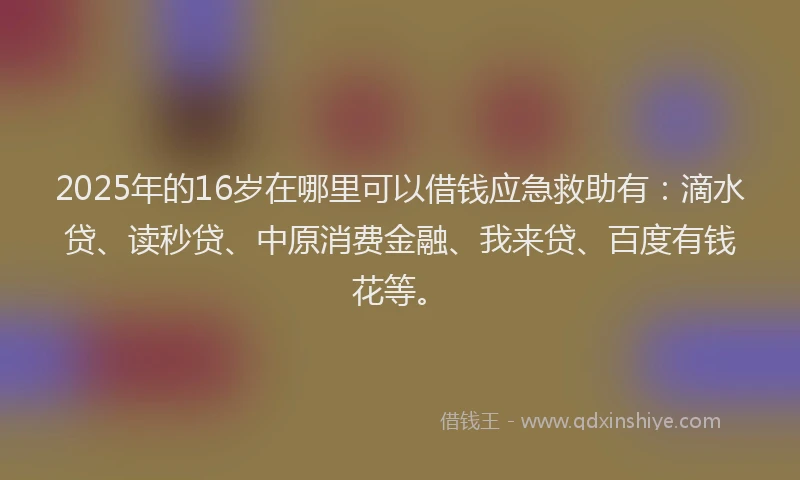 2025年的16岁在哪里可以借钱应急救助有：滴水贷、读秒贷、中原消费金融、我来贷、百度有钱花等。