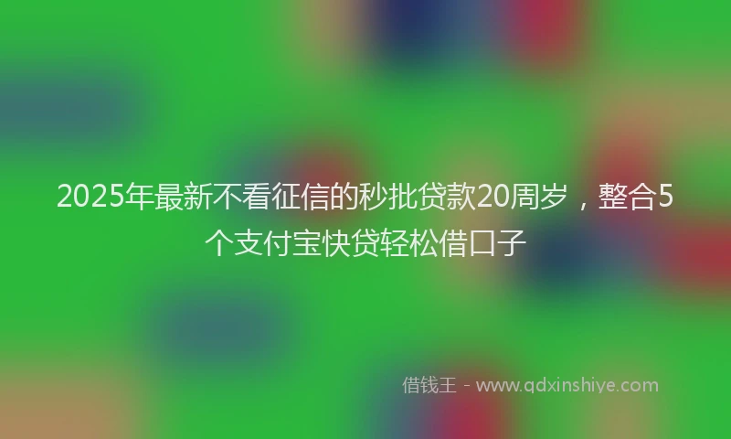 2025年最新不看征信的秒批贷款20周岁，整合5个支付宝快贷轻松借口子