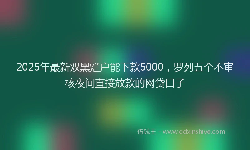 2025年最新双黑烂户能下款5000，罗列五个不审核夜间直接放款的网贷口子