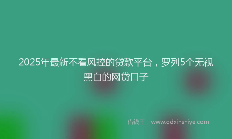 2025年最新不看风控的贷款平台，罗列5个无视黑白的网贷口子