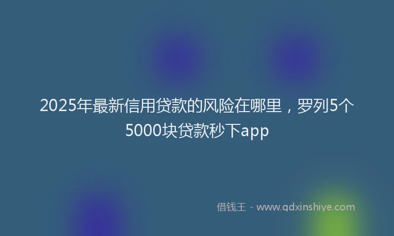 2025年最新信用贷款的风险在哪里，罗列5个5000块贷款秒下app