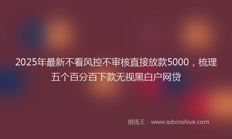 2025年最新不看风控不审核直接放款5000，梳理五个百分百下款无视黑白户网贷