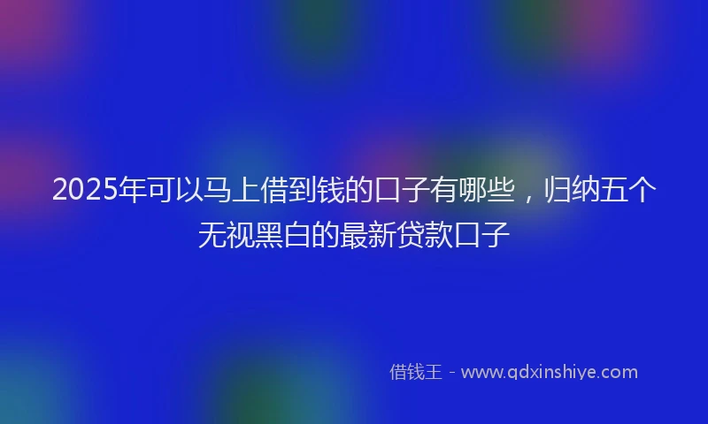 2025年可以马上借到钱的口子有哪些，归纳五个无视黑白的最新贷款口子