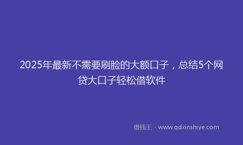 2025年最新不需要刷脸的大额口子，总结5个网贷大口子轻松借软件