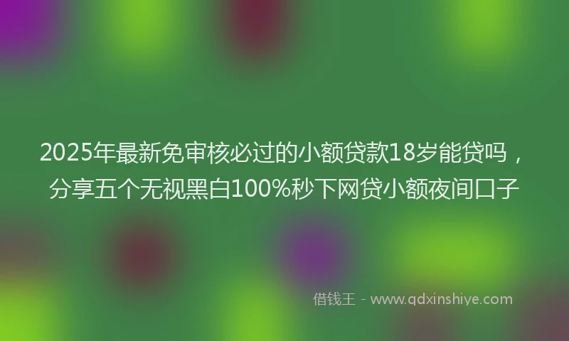 2025年最新免审核必过的小额贷款18岁能贷吗，分享五个无视黑白100%秒下网贷小额夜间口子