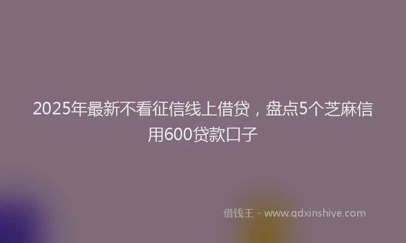 2025年最新不看征信线上借贷，盘点5个芝麻信用600贷款口子