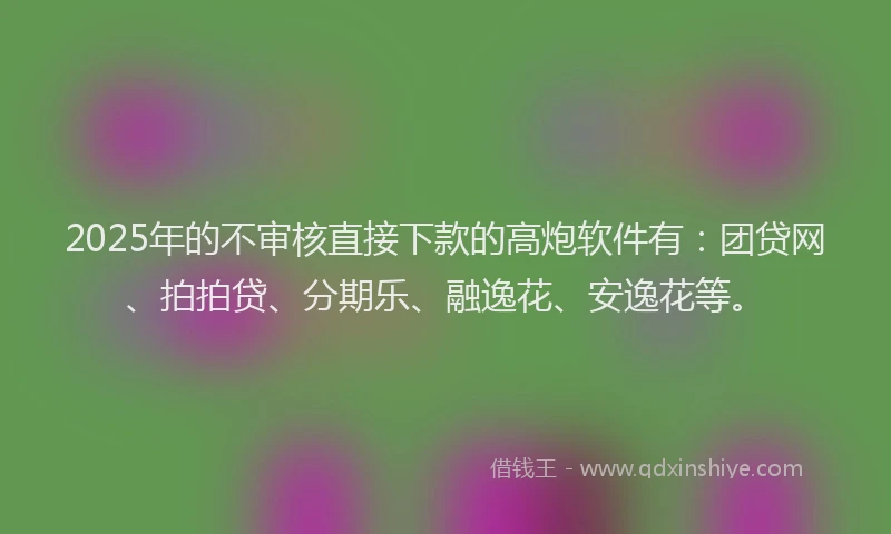 2025年的不审核直接下款的高炮软件有：团贷网、拍拍贷、分期乐、融逸花、安逸花等。