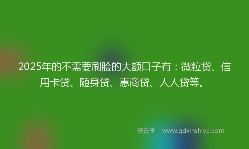 2025年的不需要刷脸的大额口子有：微粒贷、信用卡贷、随身贷、惠商贷、人人贷等。