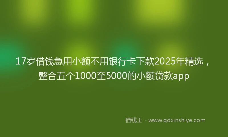 17岁借钱急用小额不用银行卡下款2025年精选，整合五个1000至5000的小额贷款app