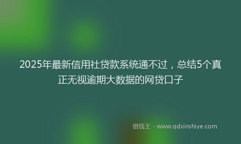 2025年最新信用社贷款系统通不过，总结5个真正无视逾期大数据的网贷口子
