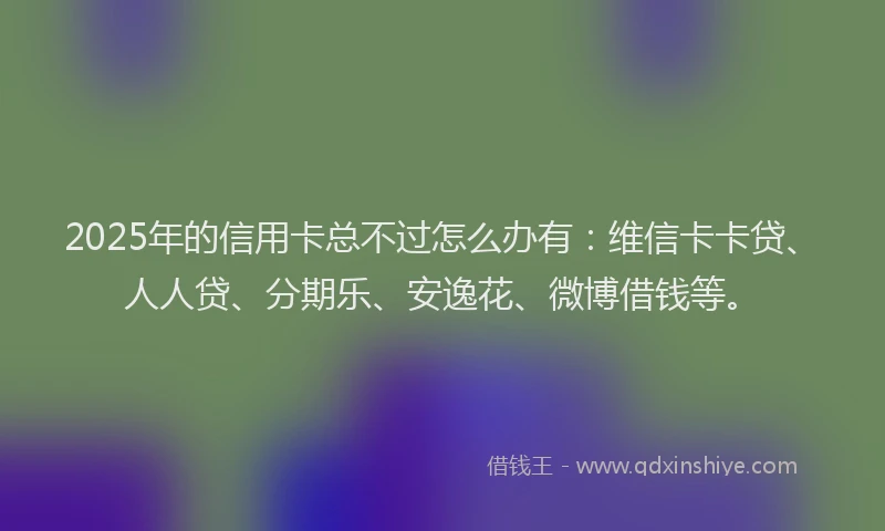 2025年的信用卡总不过怎么办有：维信卡卡贷、人人贷、分期乐、安逸花、微博借钱等。