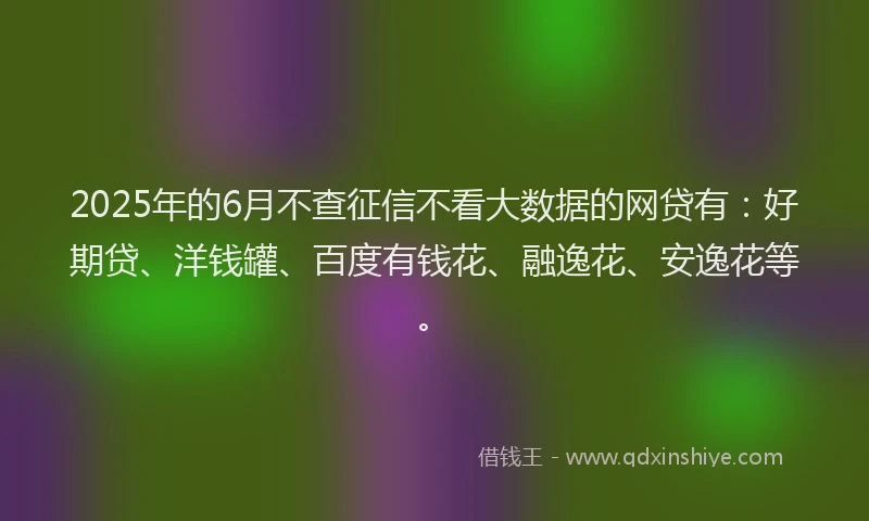 2025年的6月不查征信不看大数据的网贷有：好期贷、洋钱罐、百度有钱花、融逸花、安逸花等。