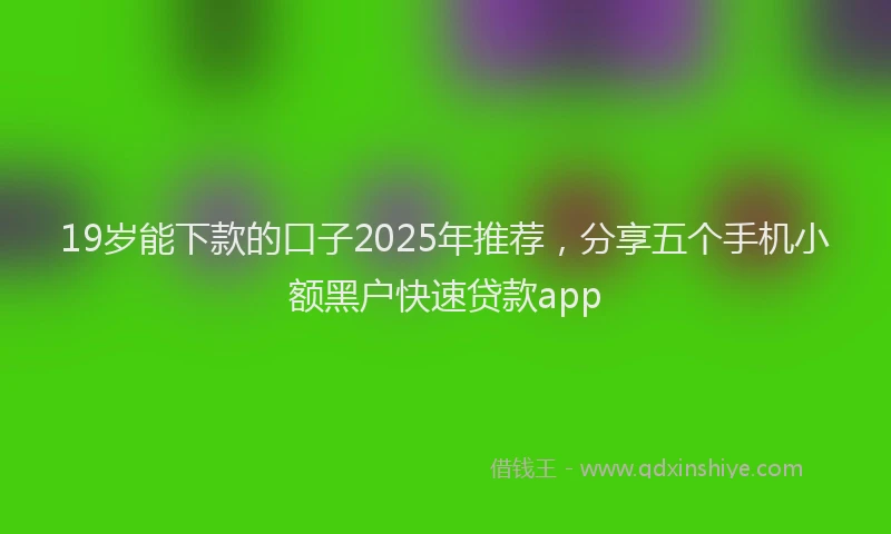 19岁能下款的口子2025年推荐，分享五个手机小额黑户快速贷款app