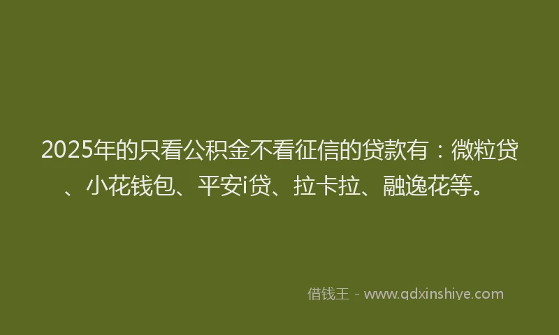 2025年的只看公积金不看征信的贷款有：微粒贷、小花钱包、平安i贷、拉卡拉、融逸花等。