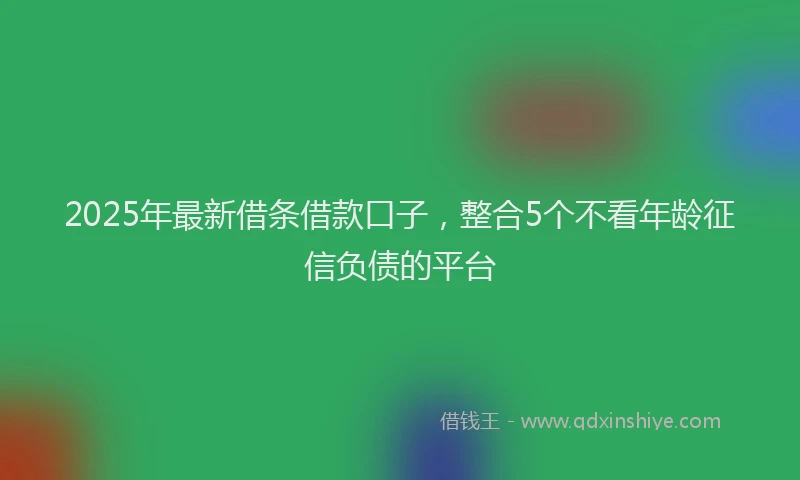 2025年最新借条借款口子，整合5个不看年龄征信负债的平台