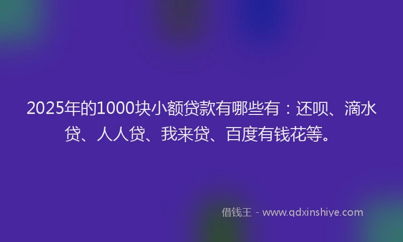 2025年的1000块小额贷款有哪些有：还呗、滴水贷、人人贷、我来贷、百度有钱花等。