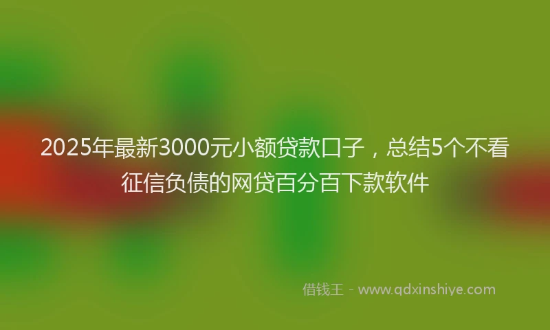 2025年最新3000元小额贷款口子，总结5个不看征信负债的网贷百分百下款软件