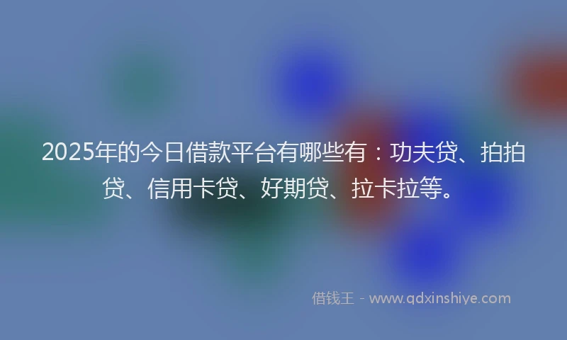 2025年的今日借款平台有哪些有：功夫贷、拍拍贷、信用卡贷、好期贷、拉卡拉等。