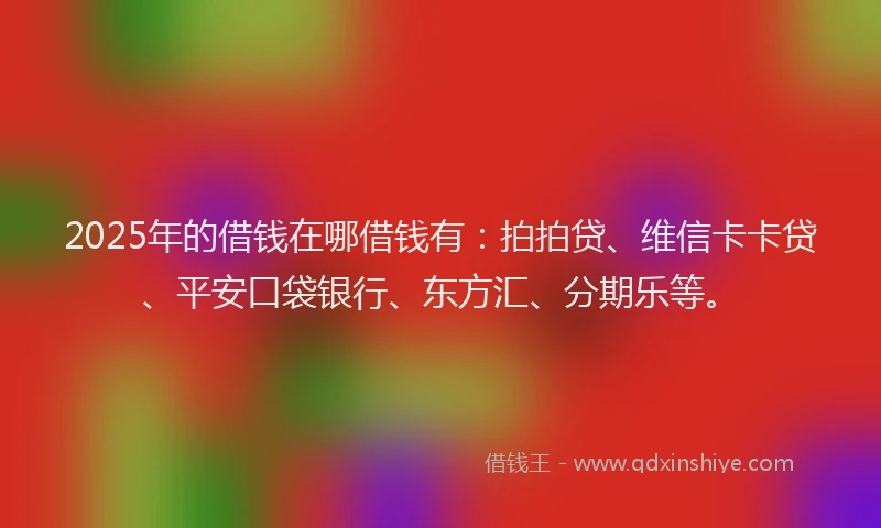 2025年的借钱在哪借钱有：拍拍贷、维信卡卡贷、平安口袋银行、东方汇、分期乐等。