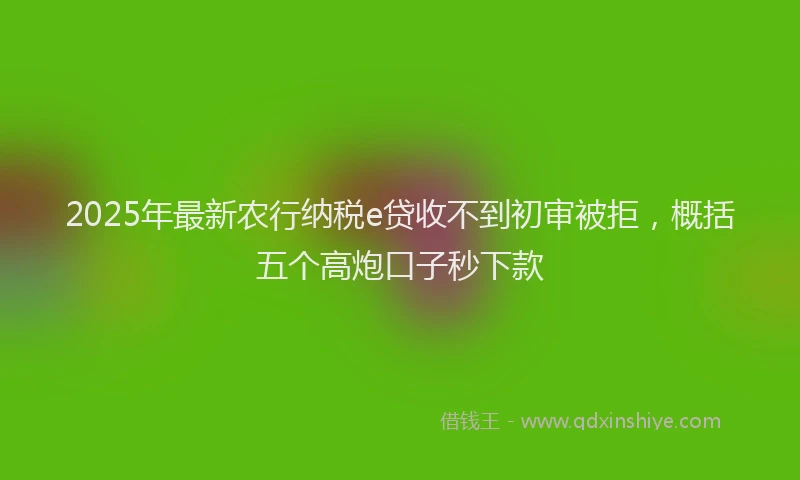 2025年最新农行纳税e贷收不到初审被拒，概括五个高炮口子秒下款