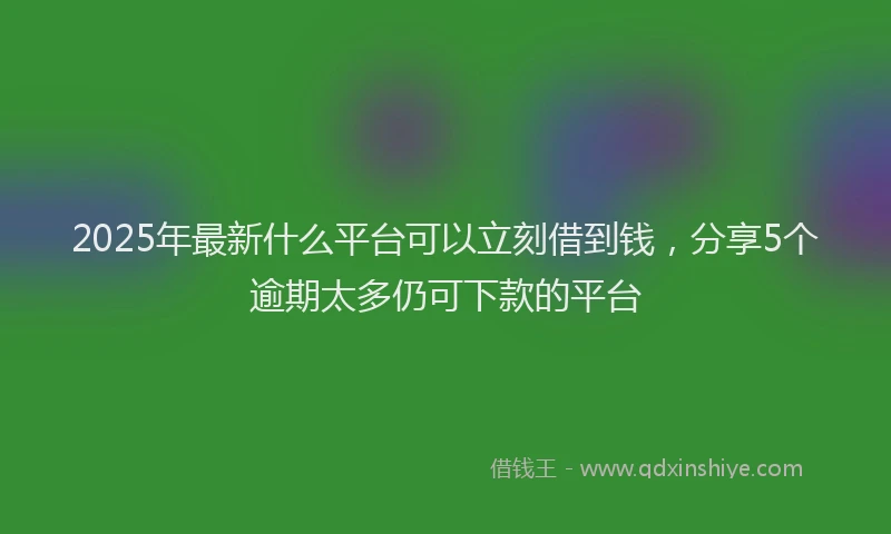2025年最新什么平台可以立刻借到钱，分享5个逾期太多仍可下款的平台
