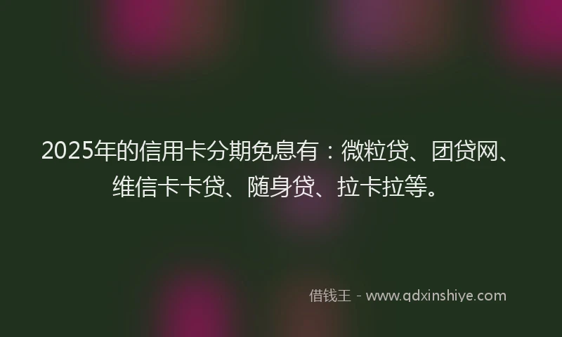 2025年的信用卡分期免息有：微粒贷、团贷网、维信卡卡贷、随身贷、拉卡拉等。