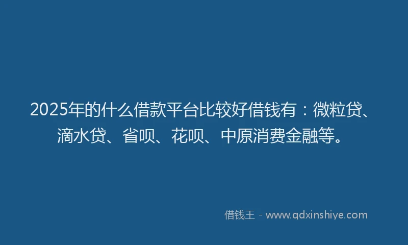 2025年的什么借款平台比较好借钱有：微粒贷、滴水贷、省呗、花呗、中原消费金融等。