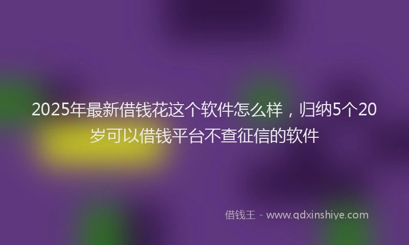 2025年最新借钱花这个软件怎么样，归纳5个20岁可以借钱平台不查征信的软件