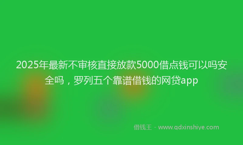 2025年最新不审核直接放款5000借点钱可以吗安全吗，罗列五个靠谱借钱的网贷app