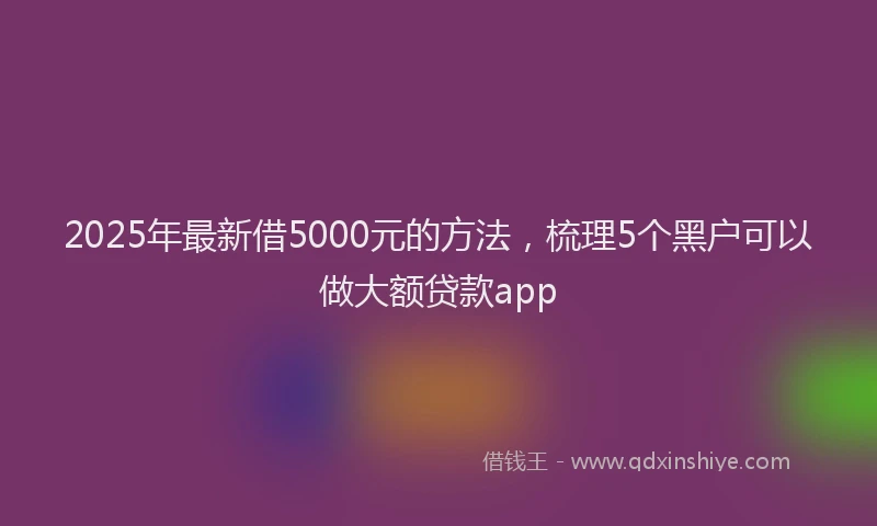 2025年最新借5000元的方法，梳理5个黑户可以做大额贷款app