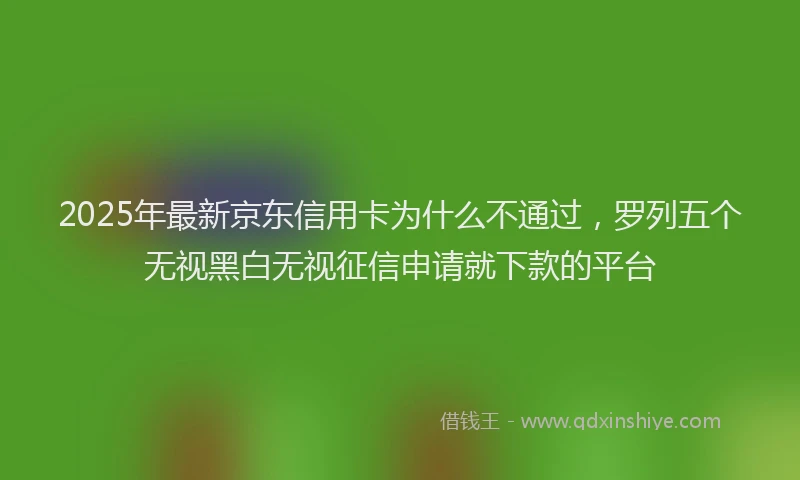 2025年最新京东信用卡为什么不通过，罗列五个无视黑白无视征信申请就下款的平台