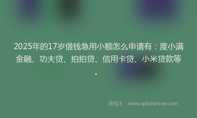 2025年的17岁借钱急用小额怎么申请有：度小满金融、功夫贷、拍拍贷、信用卡贷、小米贷款等。