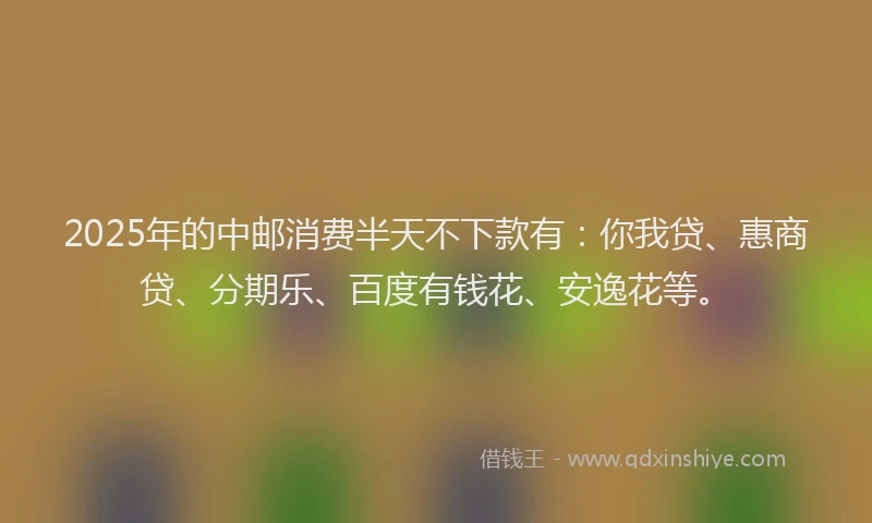 2025年的中邮消费半天不下款有：你我贷、惠商贷、分期乐、百度有钱花、安逸花等。