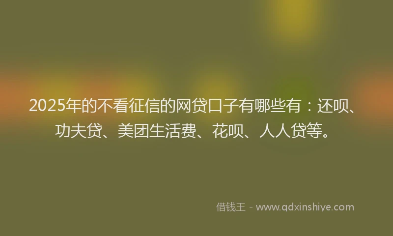 2025年的不看征信的网贷口子有哪些有：还呗、功夫贷、美团生活费、花呗、人人贷等。