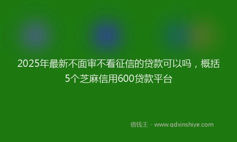 2025年最新不面审不看征信的贷款可以吗，概括5个芝麻信用600贷款平台