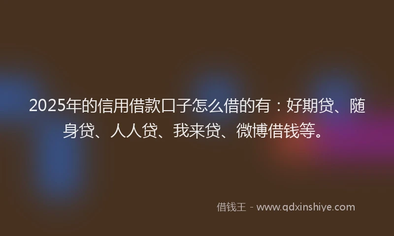 2025年的信用借款口子怎么借的有：好期贷、随身贷、人人贷、我来贷、微博借钱等。