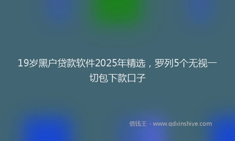 19岁黑户贷款软件2025年精选，罗列5个无视一切包下款口子