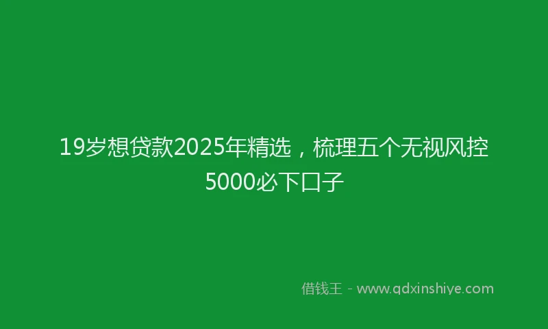 19岁想贷款2025年精选，梳理五个无视风控5000必下口子