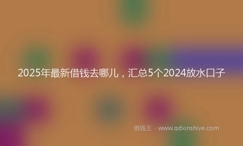 2025年最新借钱去哪儿，汇总5个2024放水口子