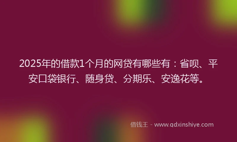 2025年的借款1个月的网贷有哪些有：省呗、平安口袋银行、随身贷、分期乐、安逸花等。