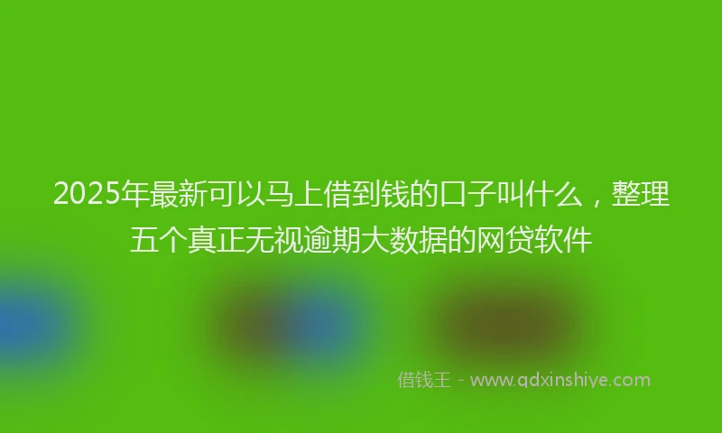 2025年最新可以马上借到钱的口子叫什么，整理五个真正无视逾期大数据的网贷软件