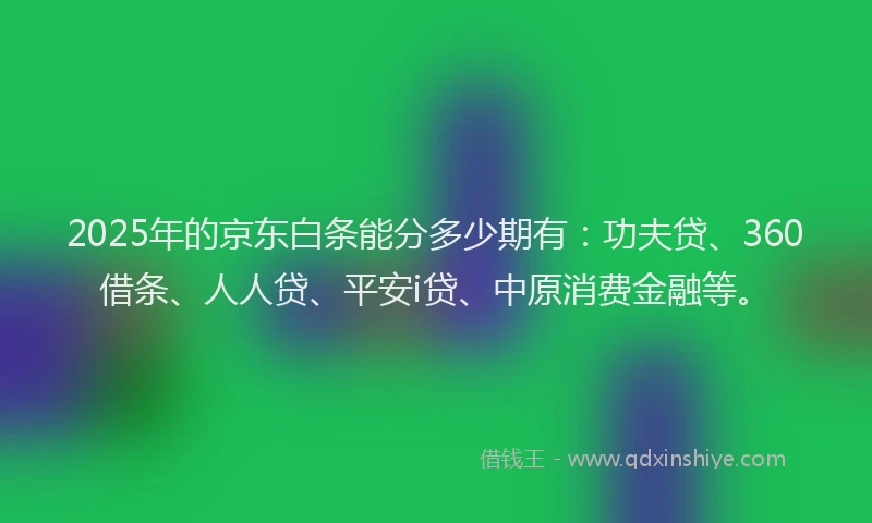2025年的京东白条能分多少期有：功夫贷、360借条、人人贷、平安i贷、中原消费金融等。