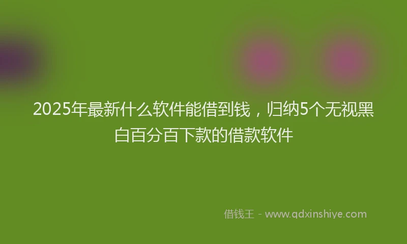 2025年最新什么软件能借到钱，归纳5个无视黑白百分百下款的借款软件